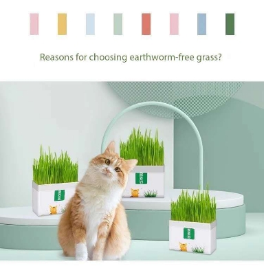 Picture of Cat Grass Magic Bag, Indoor Cat Grass kit (Easy to Operate) Open The Bag and Add Water, Ready to Use in a Week