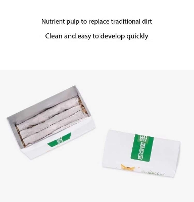 Picture of Cat Grass Magic Bag, Indoor Cat Grass kit (Easy to Operate) Open The Bag and Add Water, Ready to Use in a Week