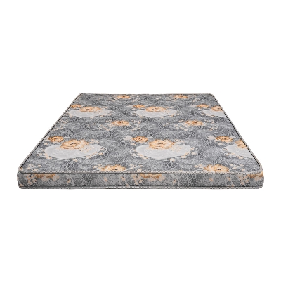 REGAL SPINECARE+ DOUBLE MATTRESS (78X59.05X4)M-302 Regal Distributiononline shop bangladeshothoba.com