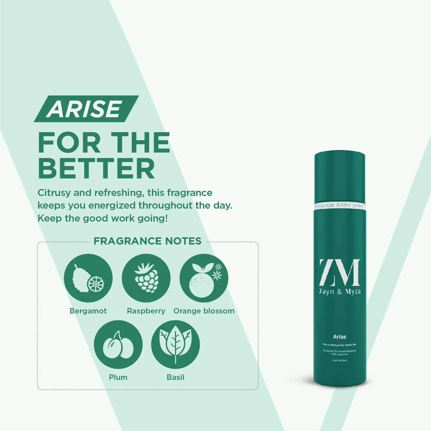 Picture of ZM Premium No Alcohol Perfume 160 ML Men Arise BD