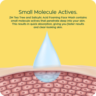 Picture of ZM Foaming Face Wash 100 ML Men Tea Tree & Salyicylic Acid BD