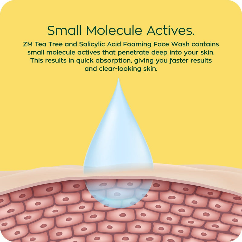 Picture of ZM Foaming Face Wash 100 ML Women Tea Tree & Salyicylic Acid BD