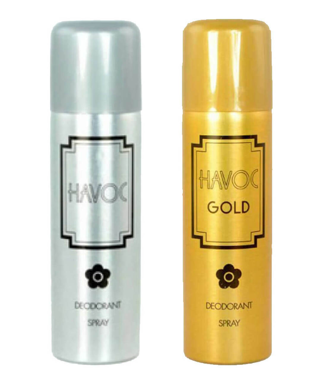 Picture of Havoc Deodorant Spray 200 ml 1pcs