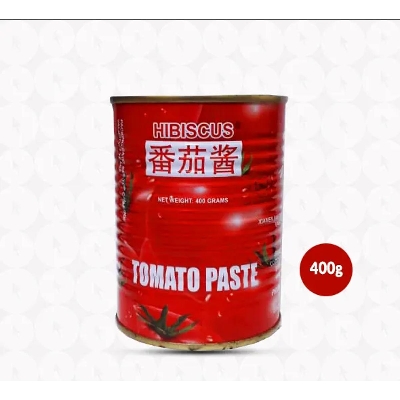Picture of Tomato Paste 400g