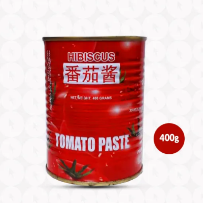 Picture of Tomato Paste 400g
