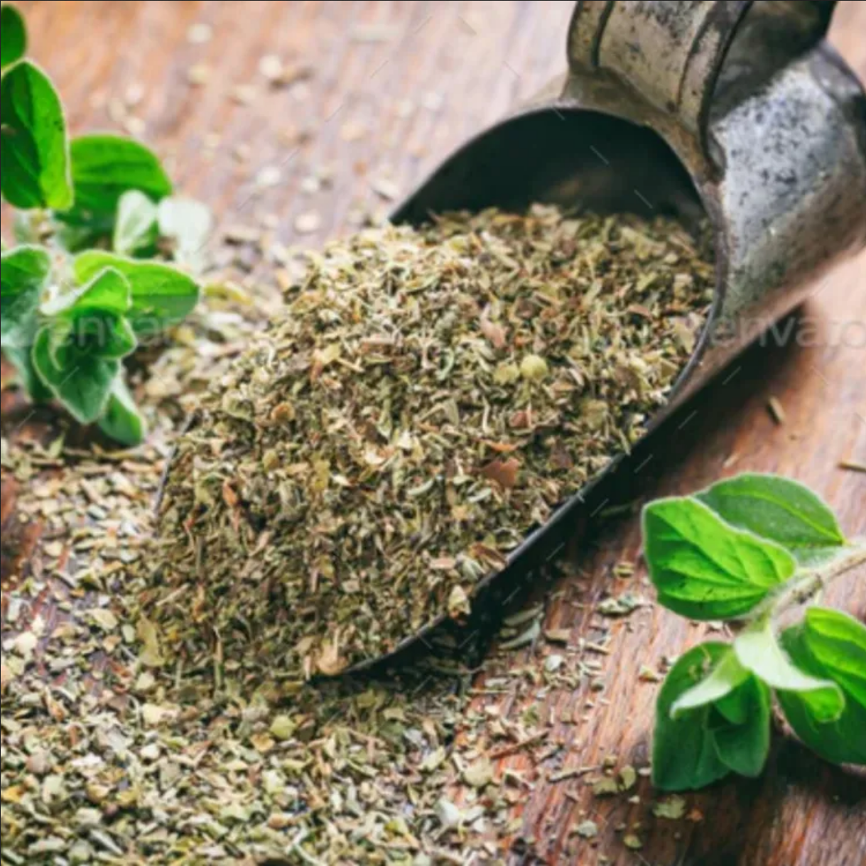 Picture of Oregano/ The Pahari Life Seasonings For Pizza & Pasta - 100% Natural Leaf - 25G