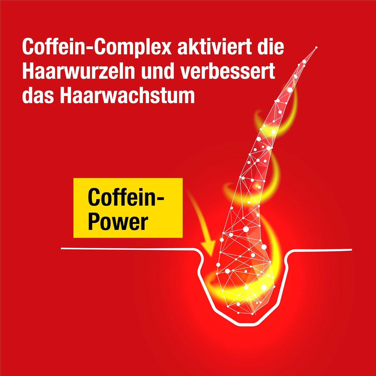 Picture of Alpecin C1 Caffeine Shampoo, 250 ml