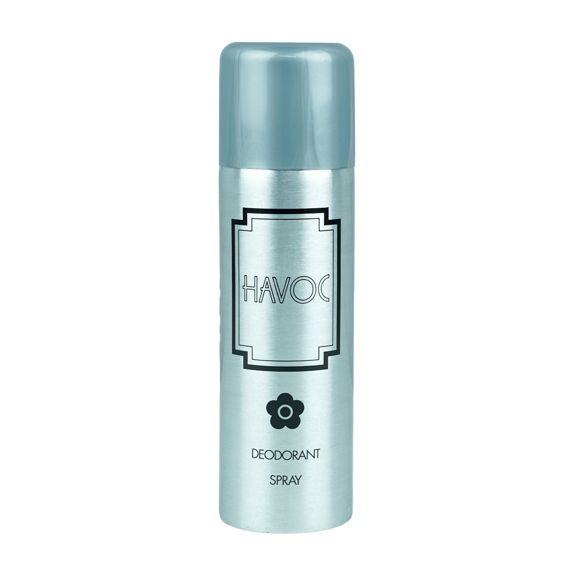 Picture of Havoc Body Spray Silver 200Ml