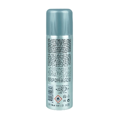 Picture of Havoc Body Spray Silver 200Ml
