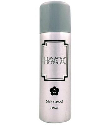 Picture of Havoc Body Spray Silver 200Ml