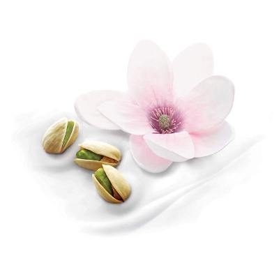 Picture of Dove Body Wash With Pistachio Cream And Magnolia (500ml)