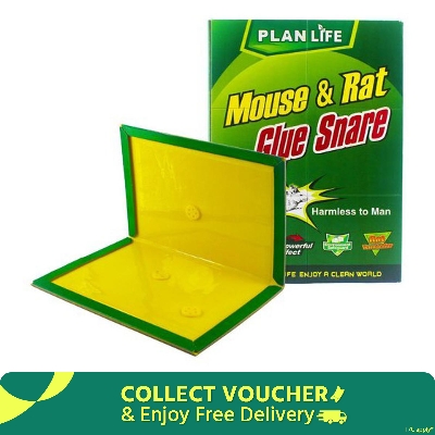 Picture of Mouse Rat Bond Traps Green Killer China (1/3/6 Pcs)