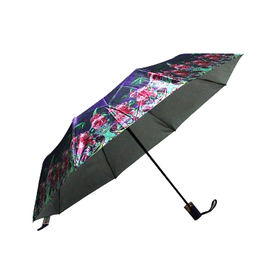 Picture of 1 Pcs Rahman Auto Open 10 Spoke Colorful, Stylish & Fashionable Umbrella, Chata For Men, Women, Girls, & Boys-Multicolor