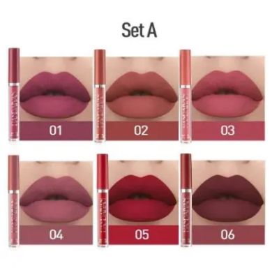 Picture of HANDAIYAN 6 Colors Long Lasting Velvet Lips Tint Liquid Lipsticks Waterproof Non-Stick Cup Lipgloss Gift Set( A)