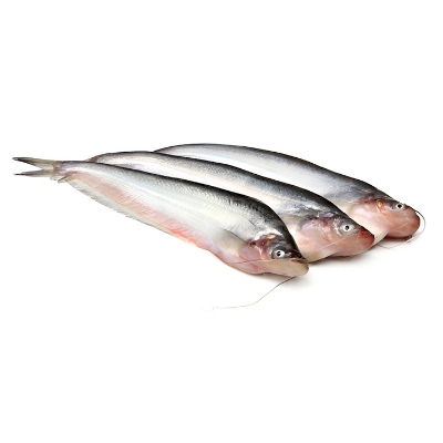 Picture of Pabda Cut & Clean Iqf 1kg