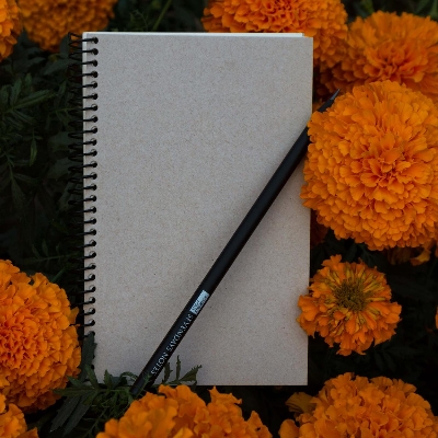 Picture of Travellers Notebook with Pencil