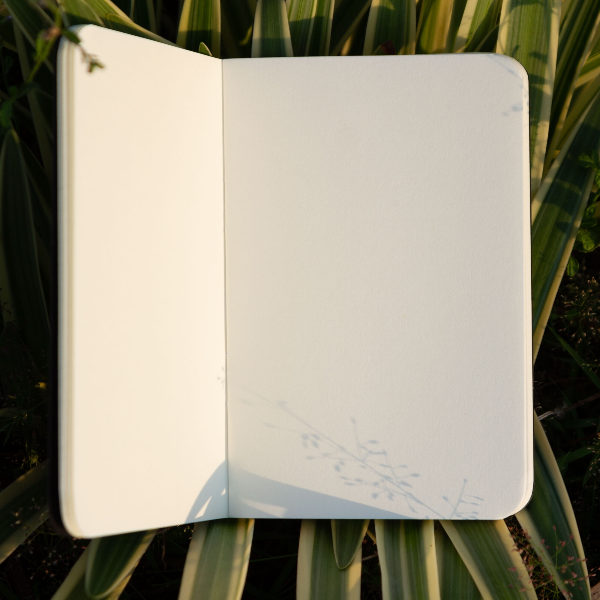 Picture of Pocket Book Black & Kraft Notebook 2-Pack