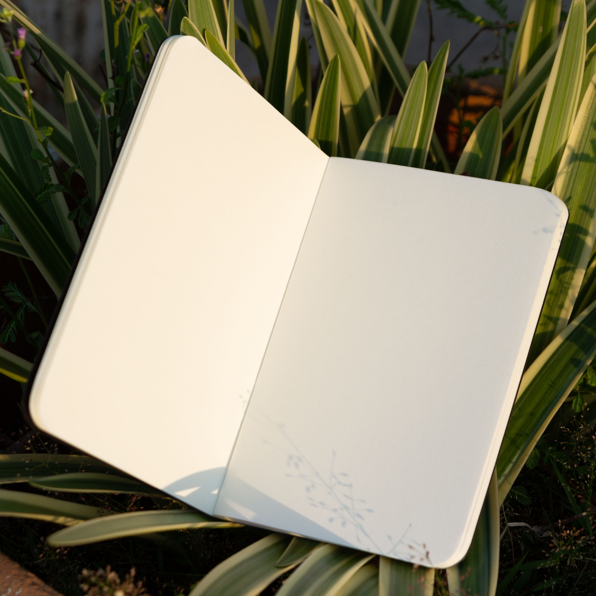 Picture of Pocket Book Black & Kraft Notebook 2-Pack
