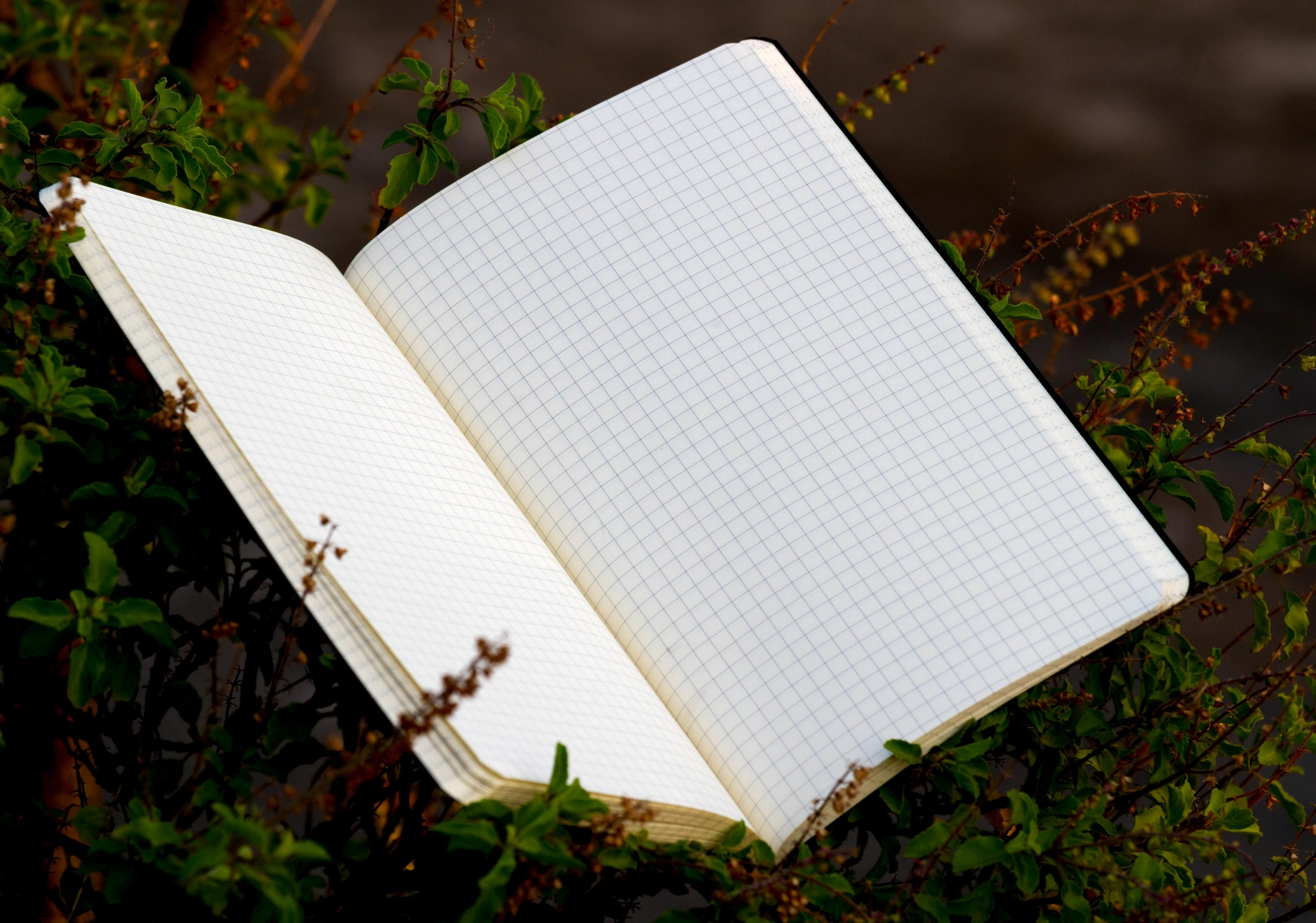 Picture of Designer Series Black Graph Grid Notebook
