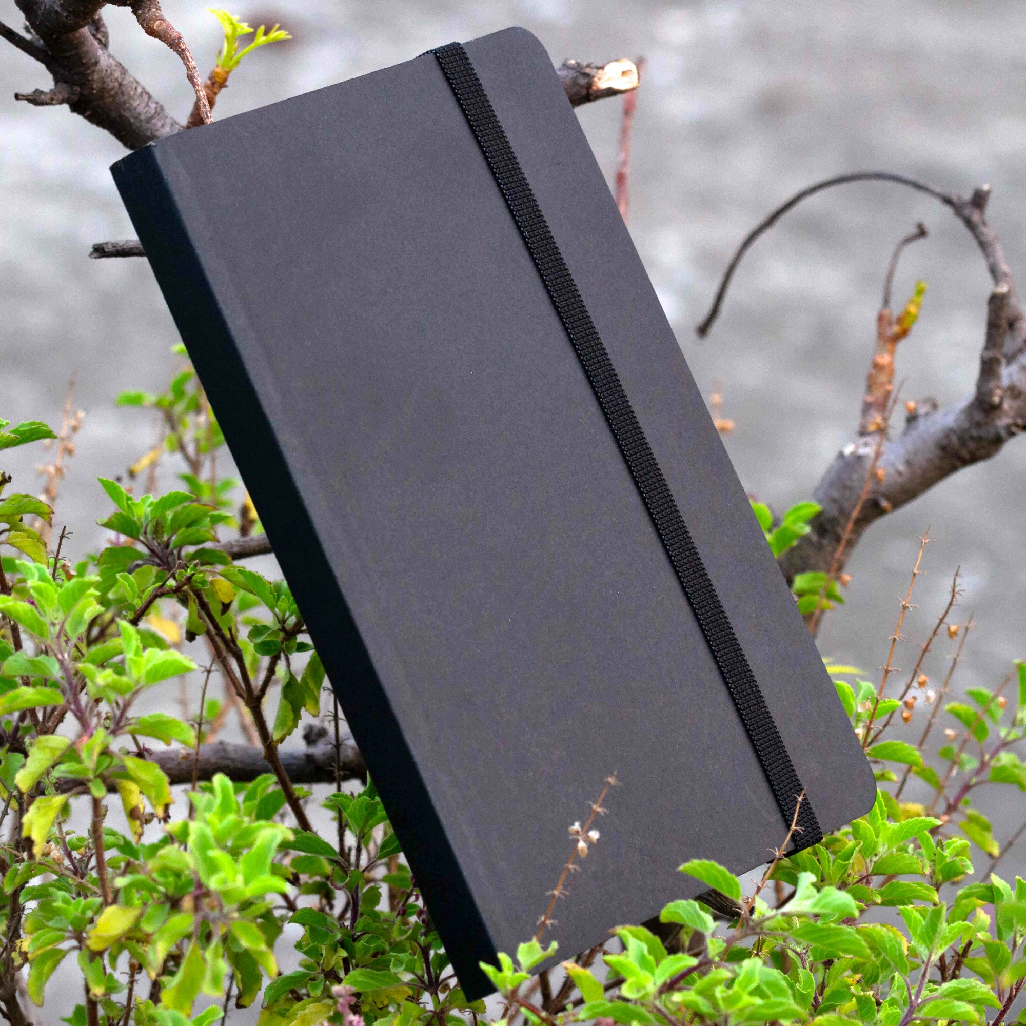 Picture of Daily Journal Dotted Black Notebook with Elastic Band