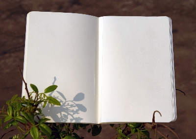 Picture of France World Cup Football Team Notebook (SN202206187)