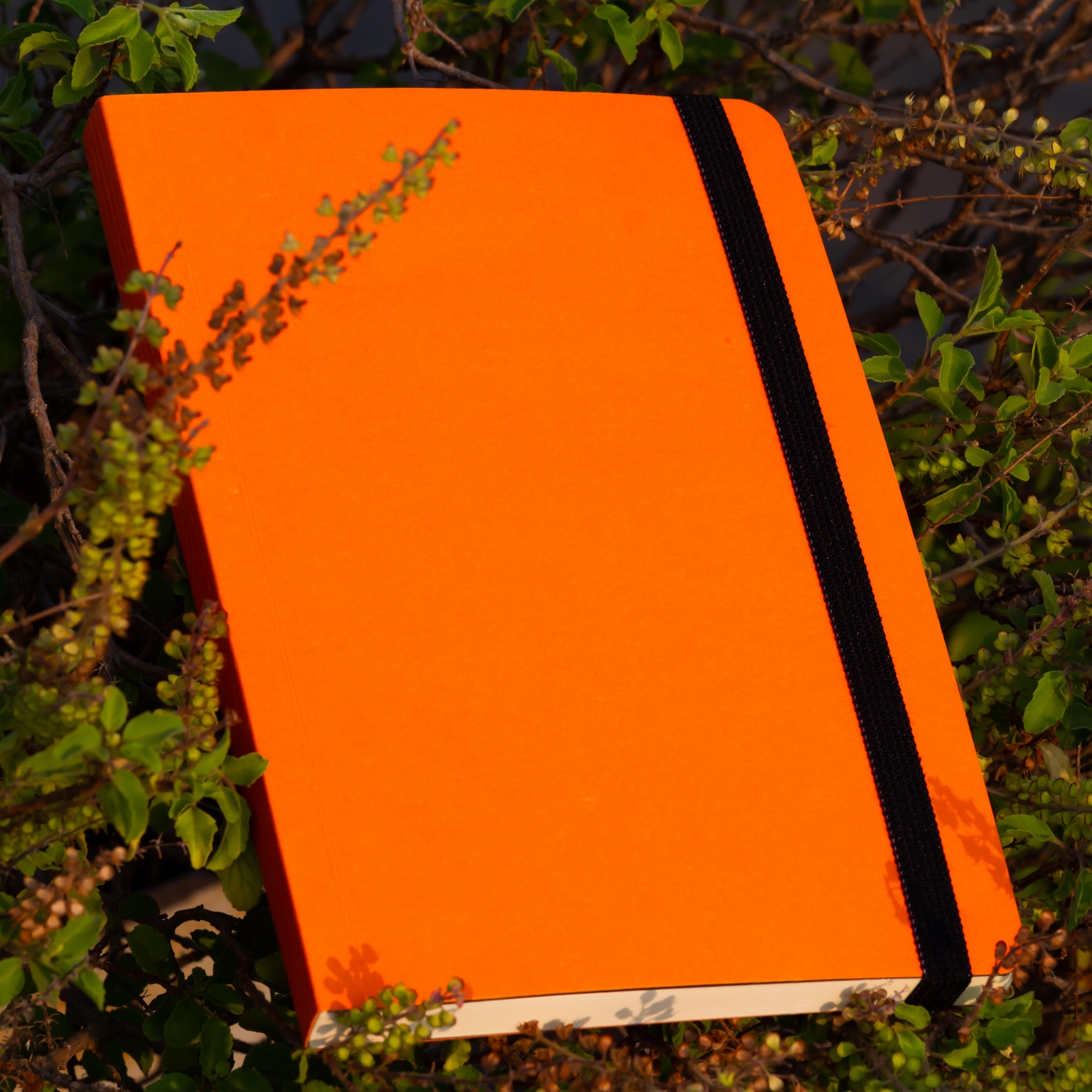 Picture of Daily Journal Orange Notebook with Elastic Band