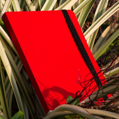 Picture of Daily Journal Red Notebook with Elastic Band