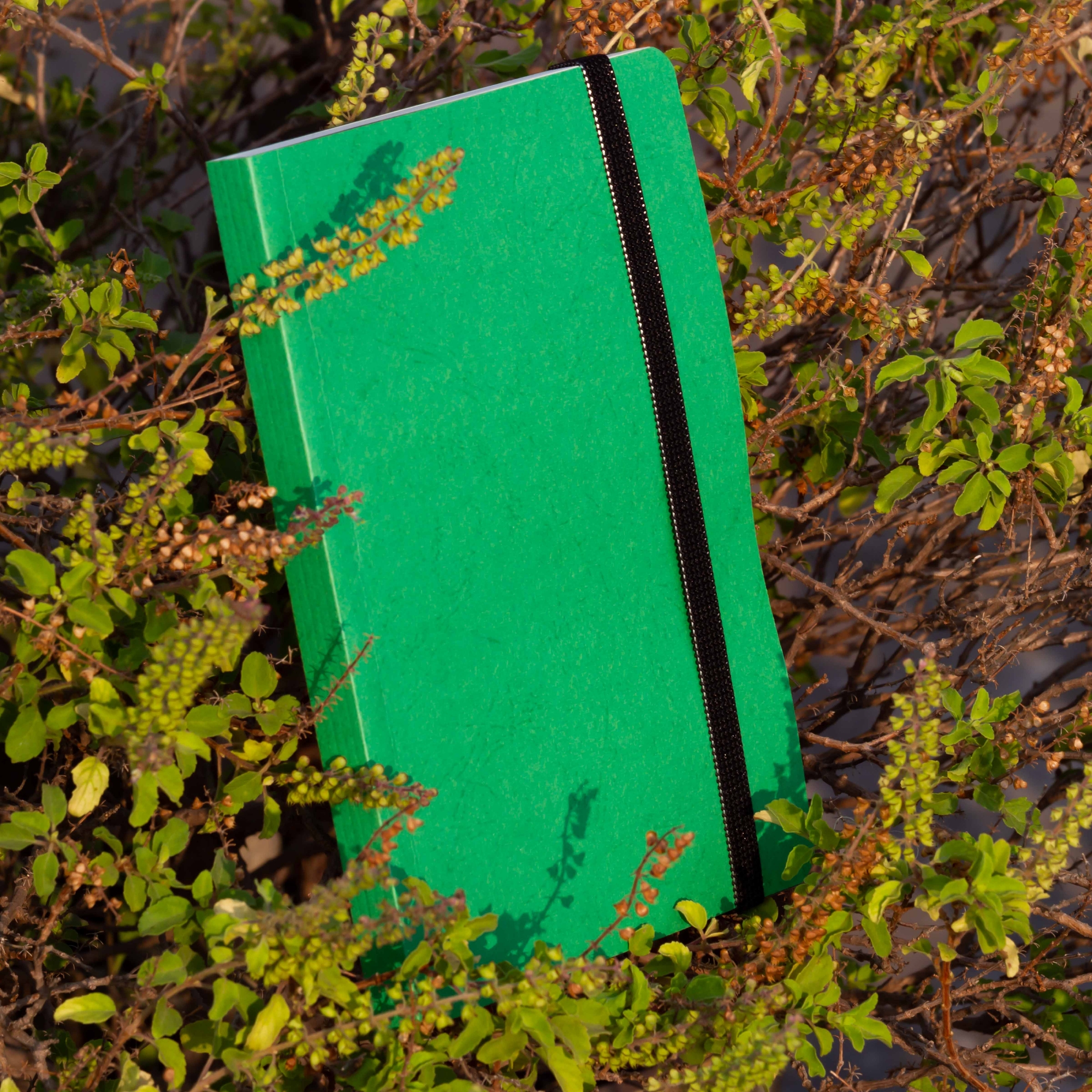 Picture of Daily Journal Green Notebook with Elastic Band