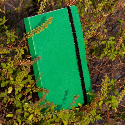 Picture of Daily Journal Green Notebook with Elastic Band