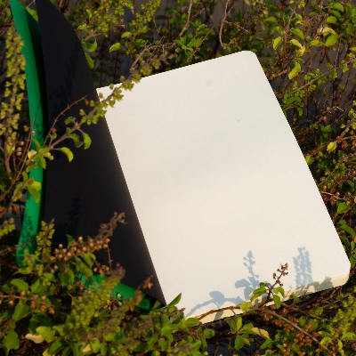 Picture of Daily Journal Green Notebook with Elastic Band