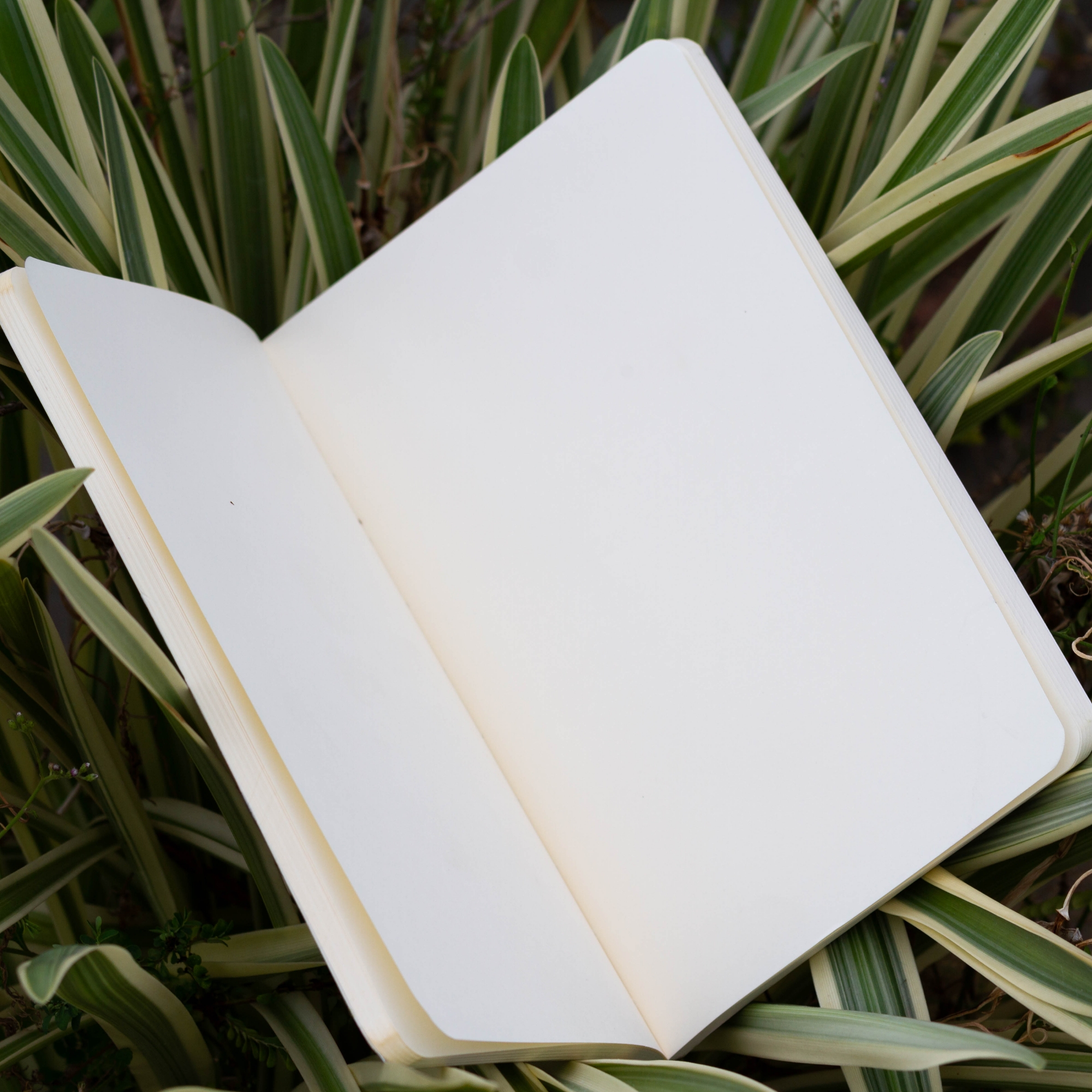 Picture of Work Size Khulna Notebook with Badge (SN202205176)