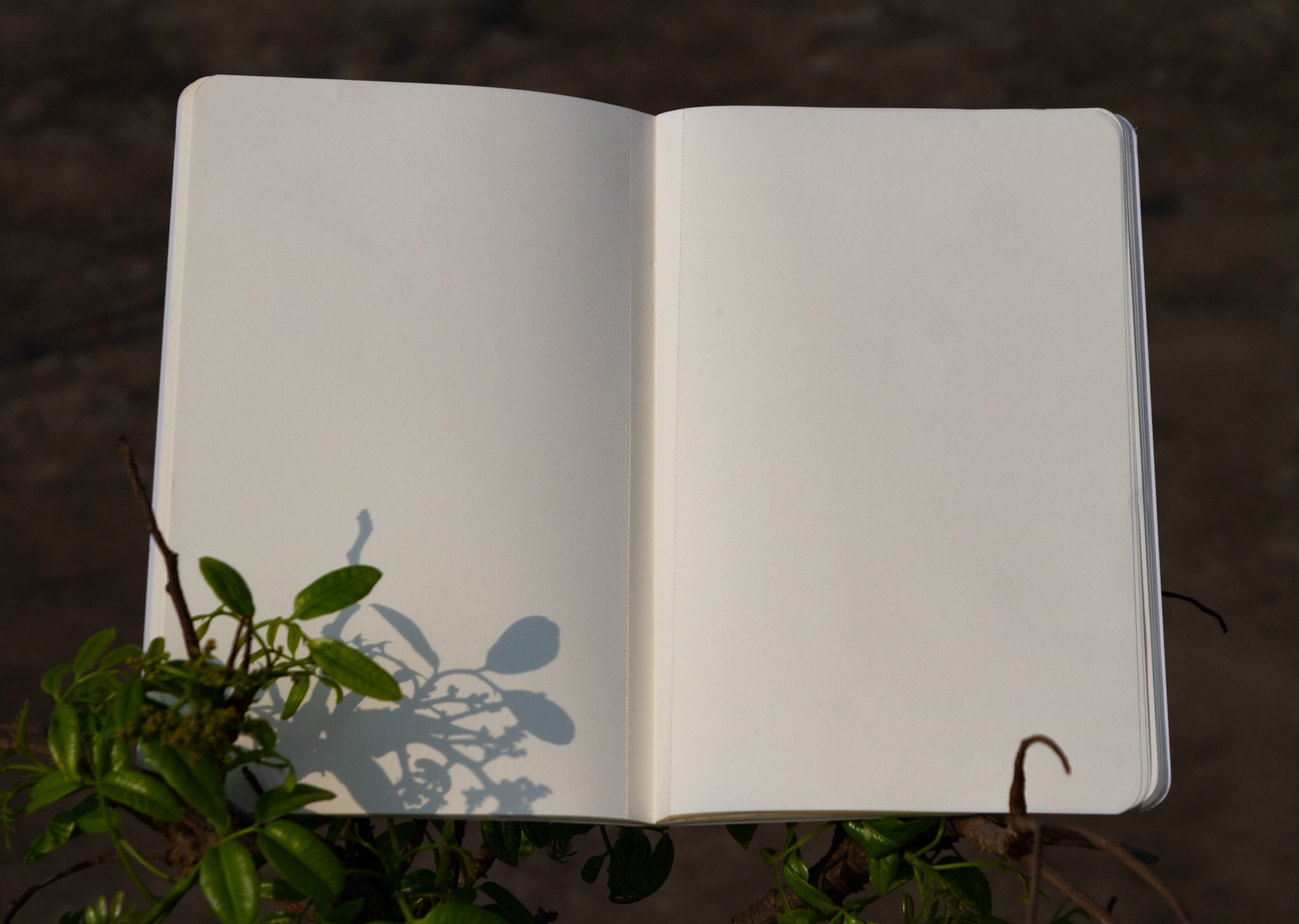 Picture of Bangladesh Notebook (Shohid Minar) with Badge (SN202261991)