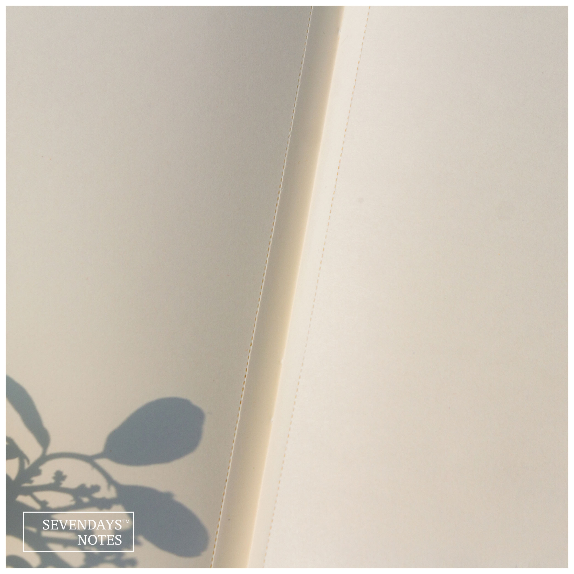 Picture of Ice Cream Notebook (SN202405388)