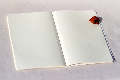 Picture of Bus Notebook (SN202405394)