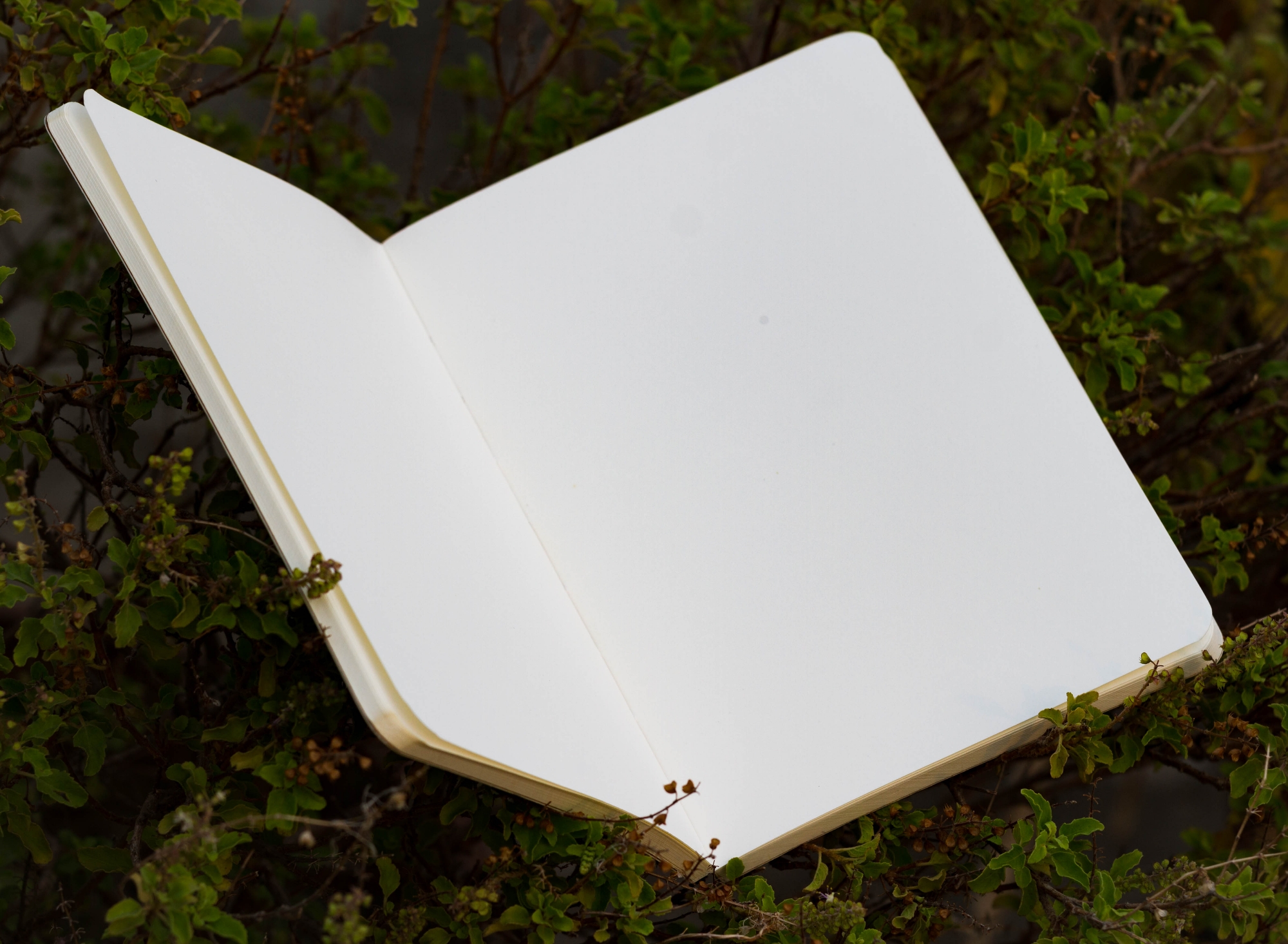 Picture of Work Size Dhaka (Line) Kraft Cover Notebook (SN202309382)