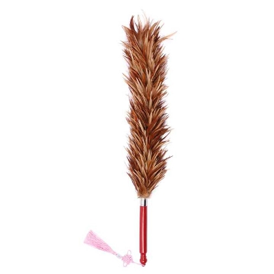 Picture of Duster Chicken Feather Duster- car  chicken feather duster