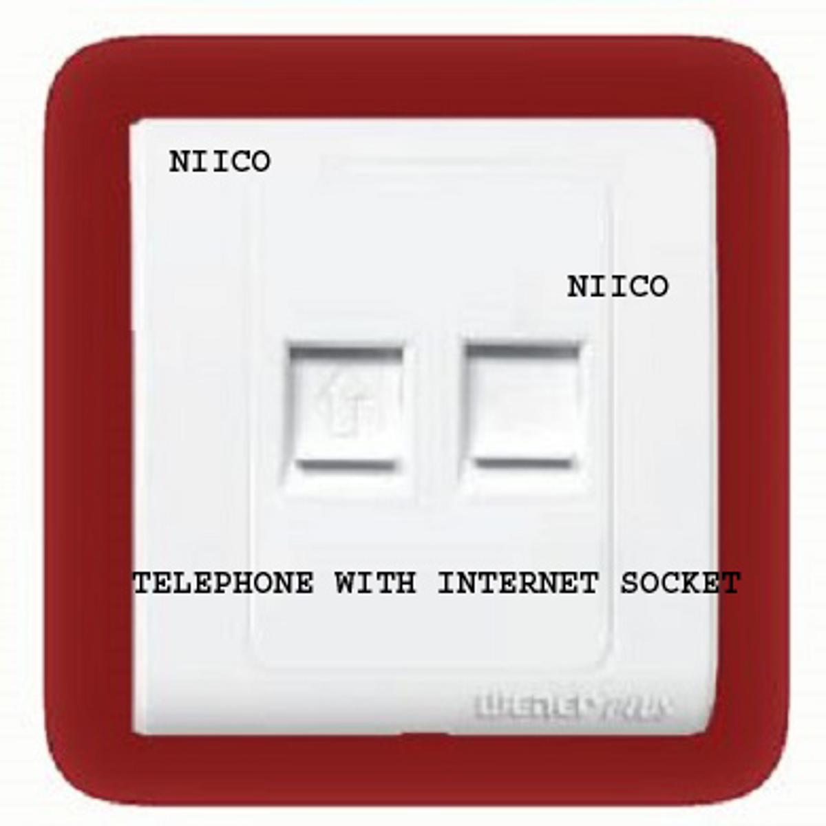 Picture of Switch Wener Plus Heavy Duty Tephone With Internet Socket