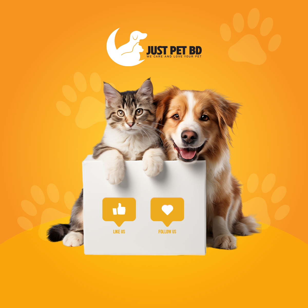 Picture of Double Bowls Pet Food Water Feeder Automatic Pet Feeding Bowl for Dog Cat Puppy Rabbit