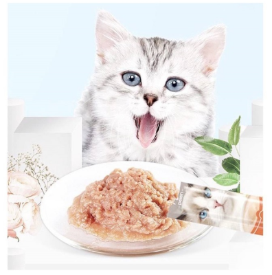 Picture of Cat Treat Snacks Chicken Tuna Salmon Flavor Cat Wet Snacks Food Pet Food 2 Flavour Mix  (Combo Pack 10 Pices )