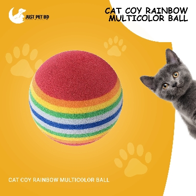 Picture of Cat Coy Rainbow Multicolor Ball