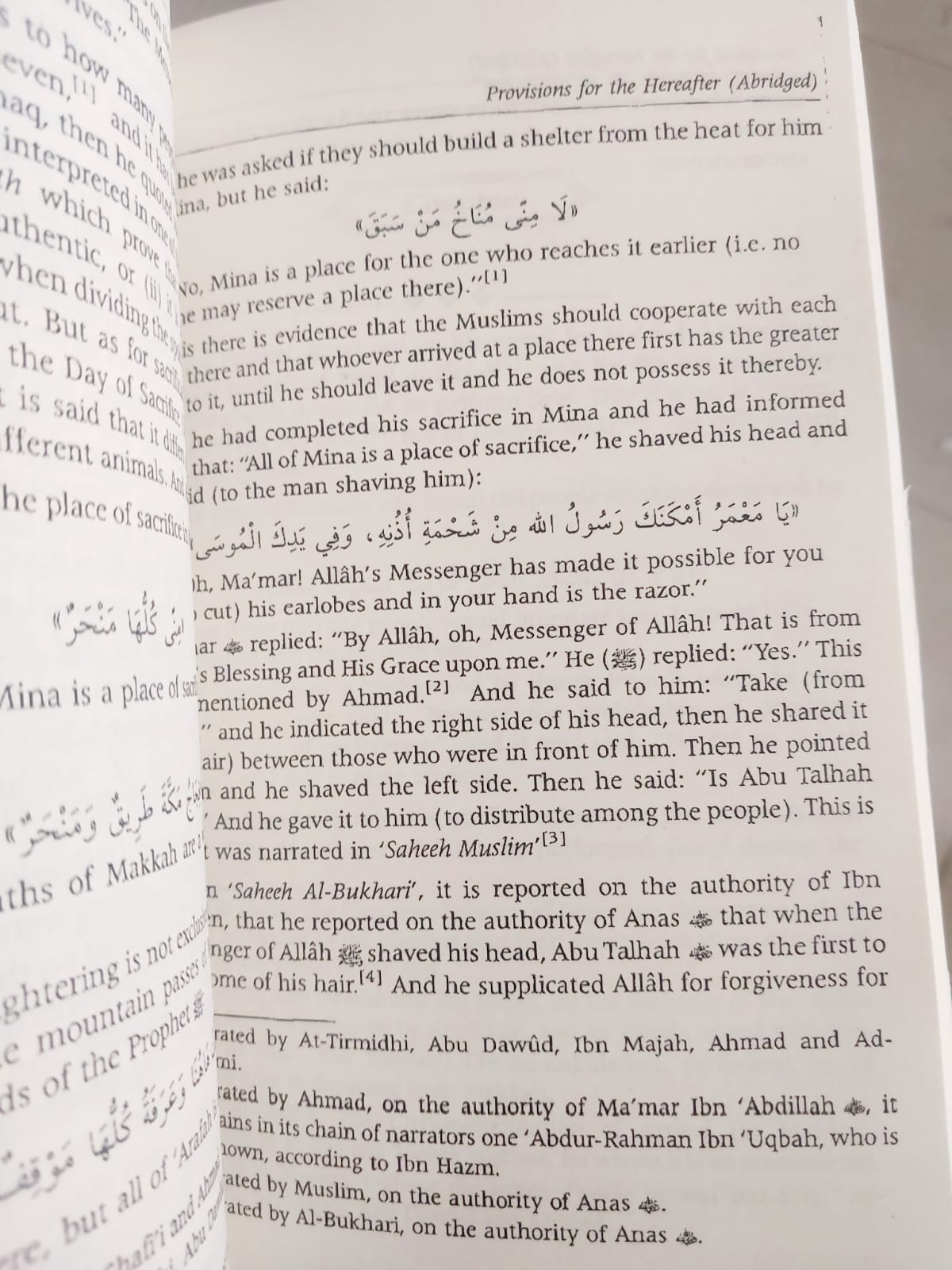 Picture of Provision For Hereafter - Mukhtasar Zad Almaad by Ibn Qayyim al-Jawziyyah