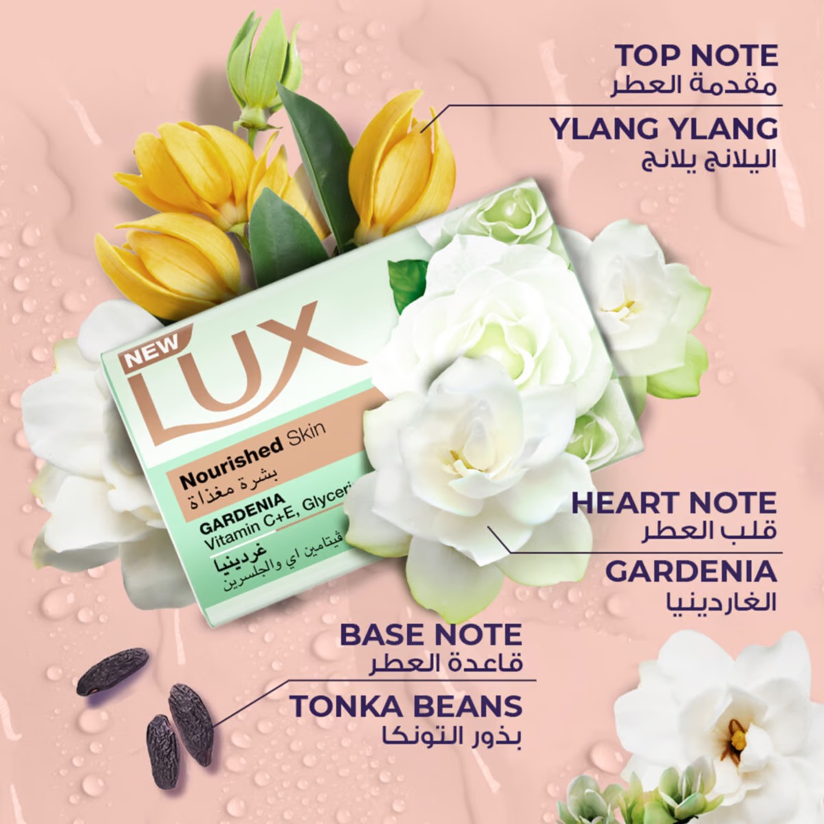 Picture of International Middle East country product Nourished skin GARDENIA Soap used for male/ female - 170 gm
