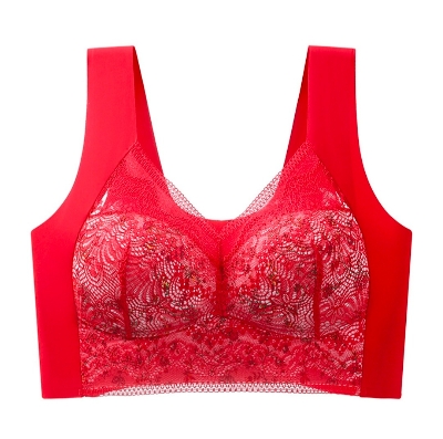 Picture of Imported New design Stylish Soft Comfortable Lace Padded Bra for Women (one piece)