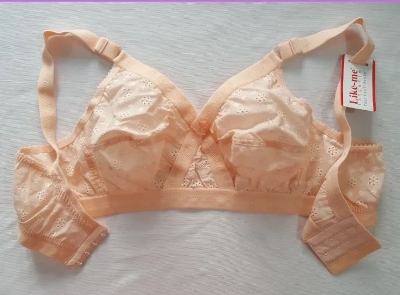 Picture of 1 piece Imported comfortable stylish soft cotton chicken bra for women