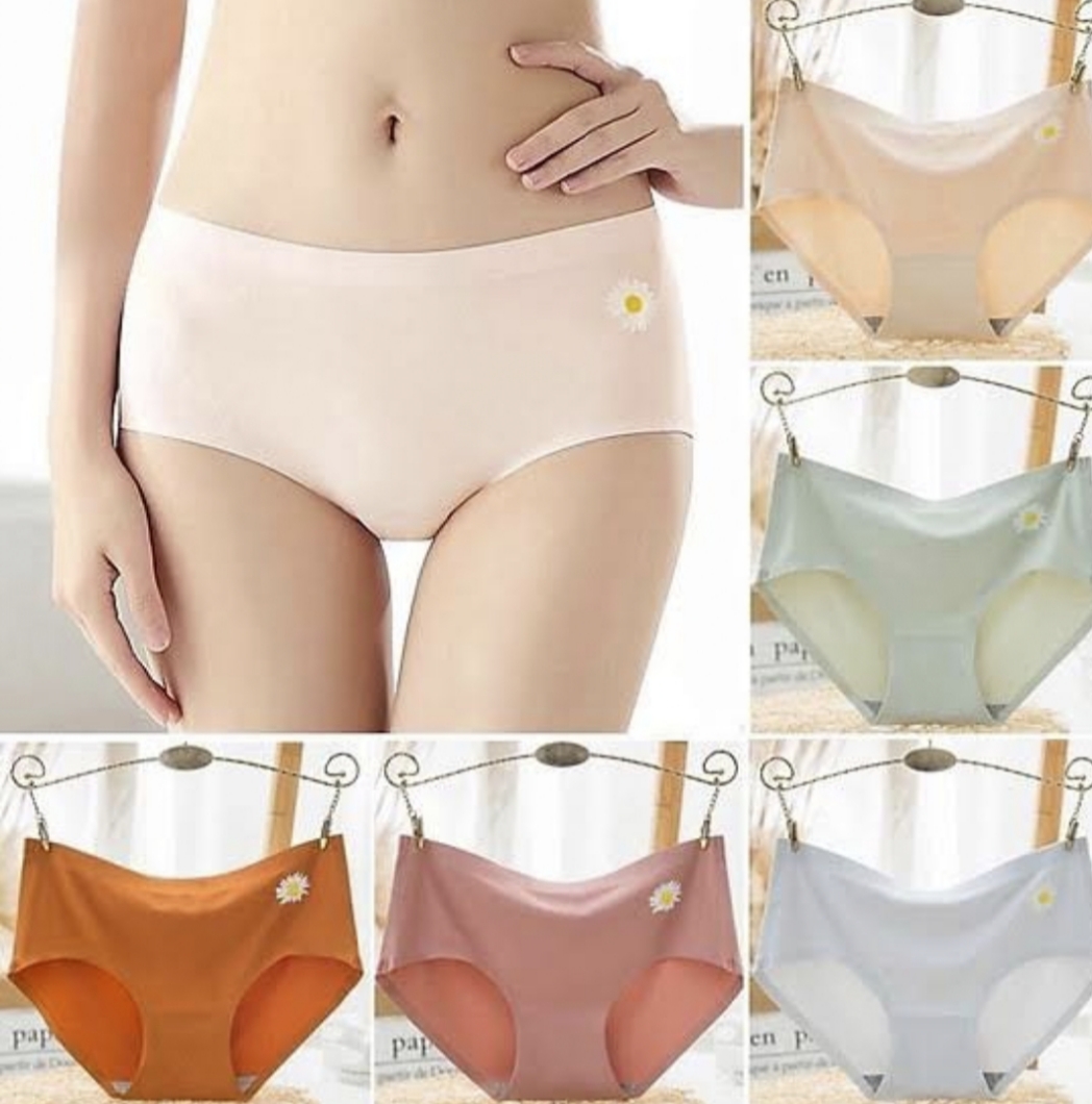 Picture of Imported Ice silk comfortable long time useable panty underwear for women - One Piece