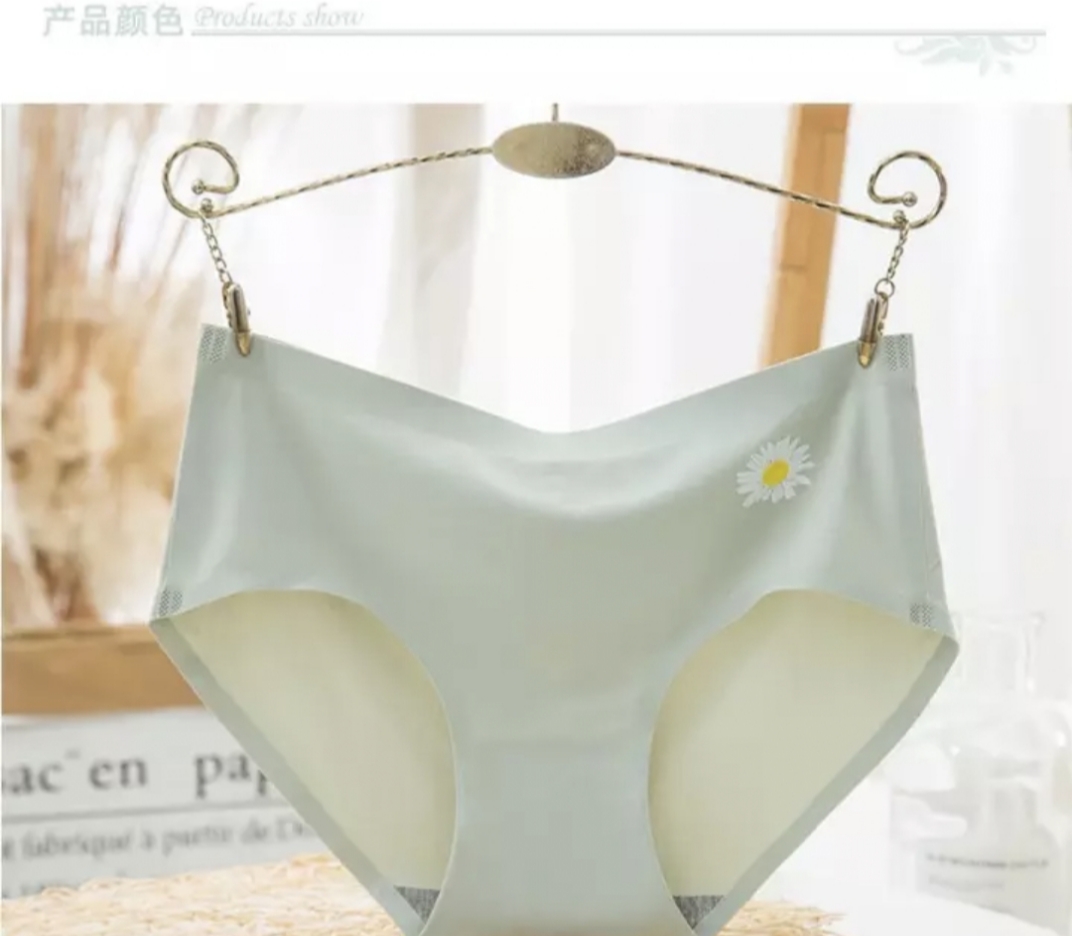 Picture of Imported Ice silk comfortable long time useable panty underwear for women - One Piece