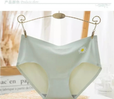 Picture of Imported Ice silk comfortable long time useable panty underwear for women - One Piece