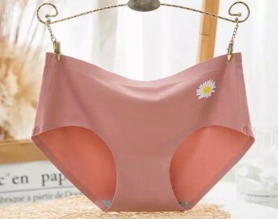 Picture of Imported silk comfortable long time useable panty underwear for women - One Piece