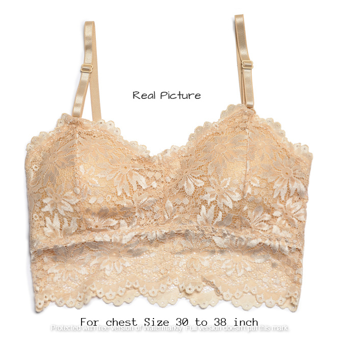 Picture of Stylish Comfortable Lace Padded Bra for Women