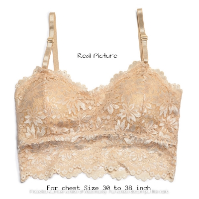 Picture of Stylish Comfortable Lace Padded Bra for Women